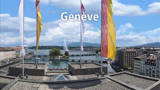 Geneva Economy Quintessence